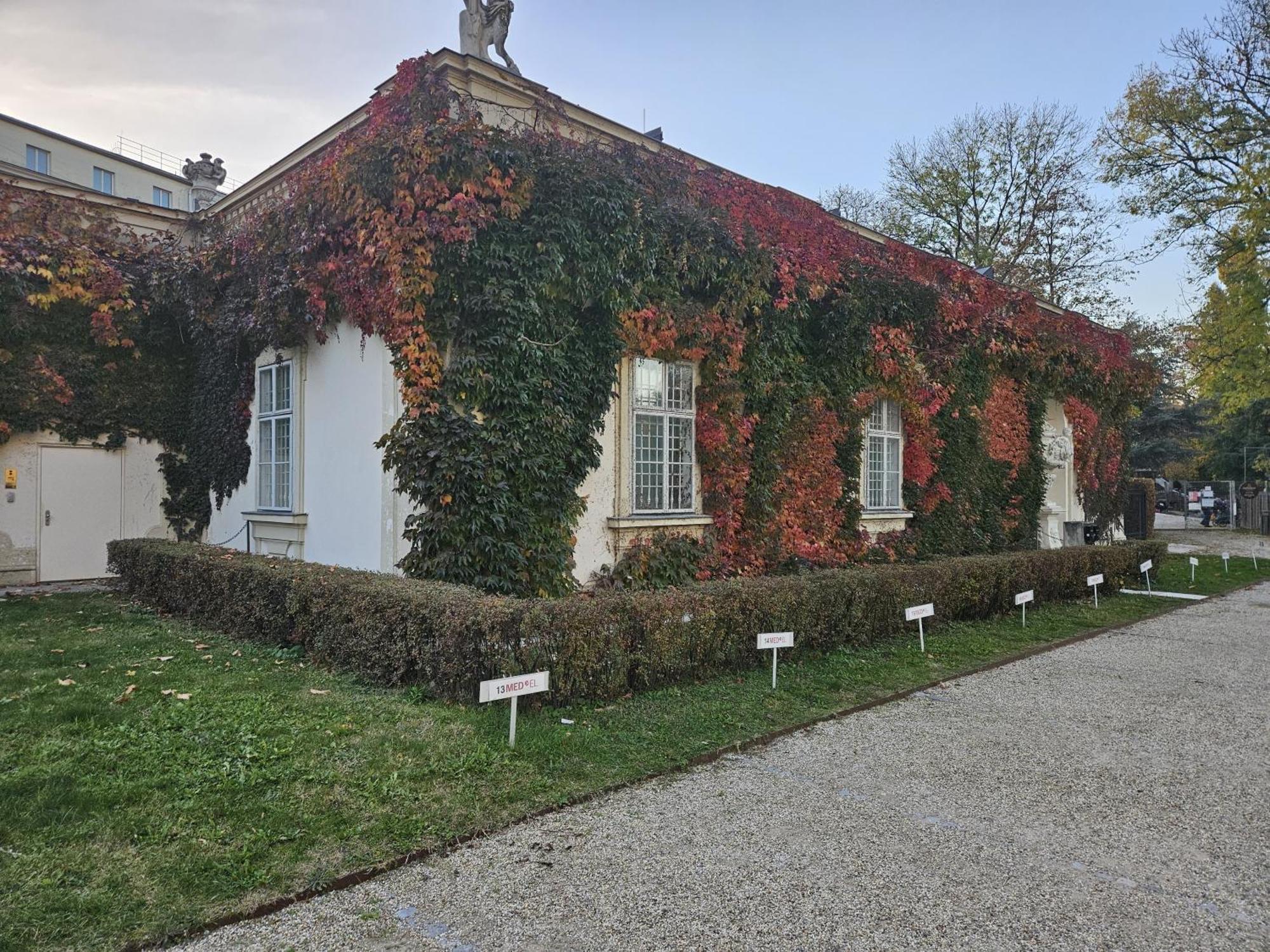 Mauthaus Lichtenstein Wiedeń Zewnętrze zdjęcie